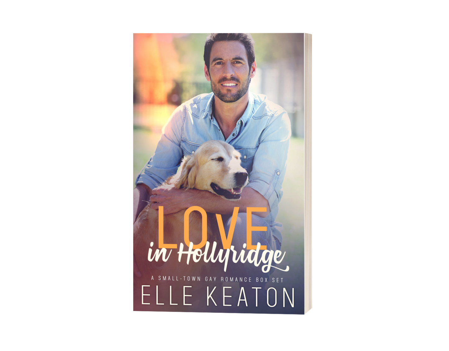Love in Hollyridge - Five Hollyridge Novellas