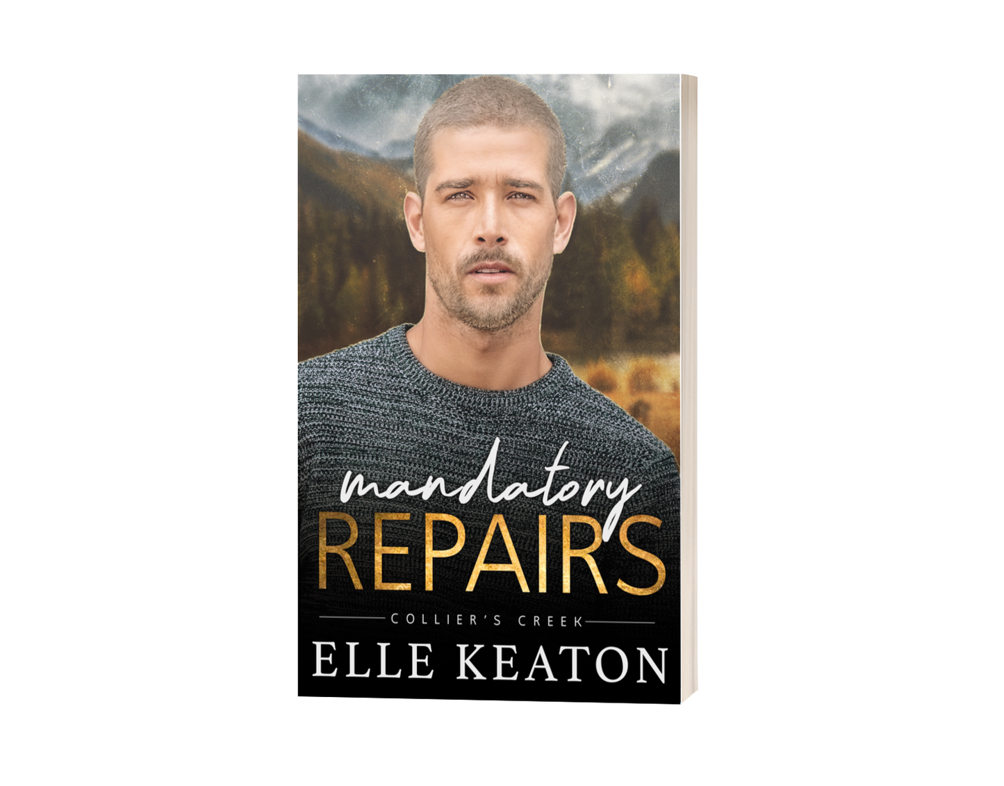 Mandatory Repairs - A Reclaimed Hearts Novella, Max and Nash