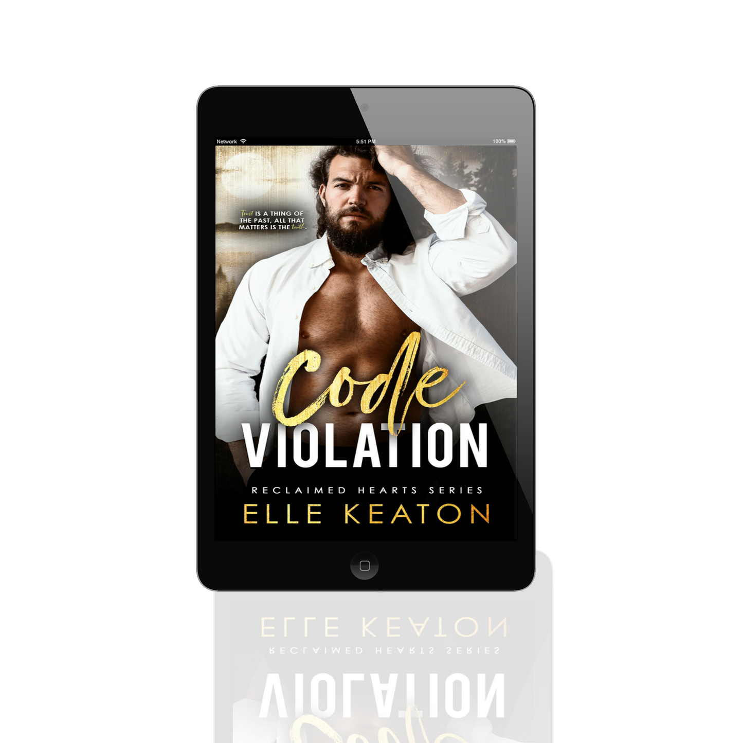 Code Violation Ebook cover