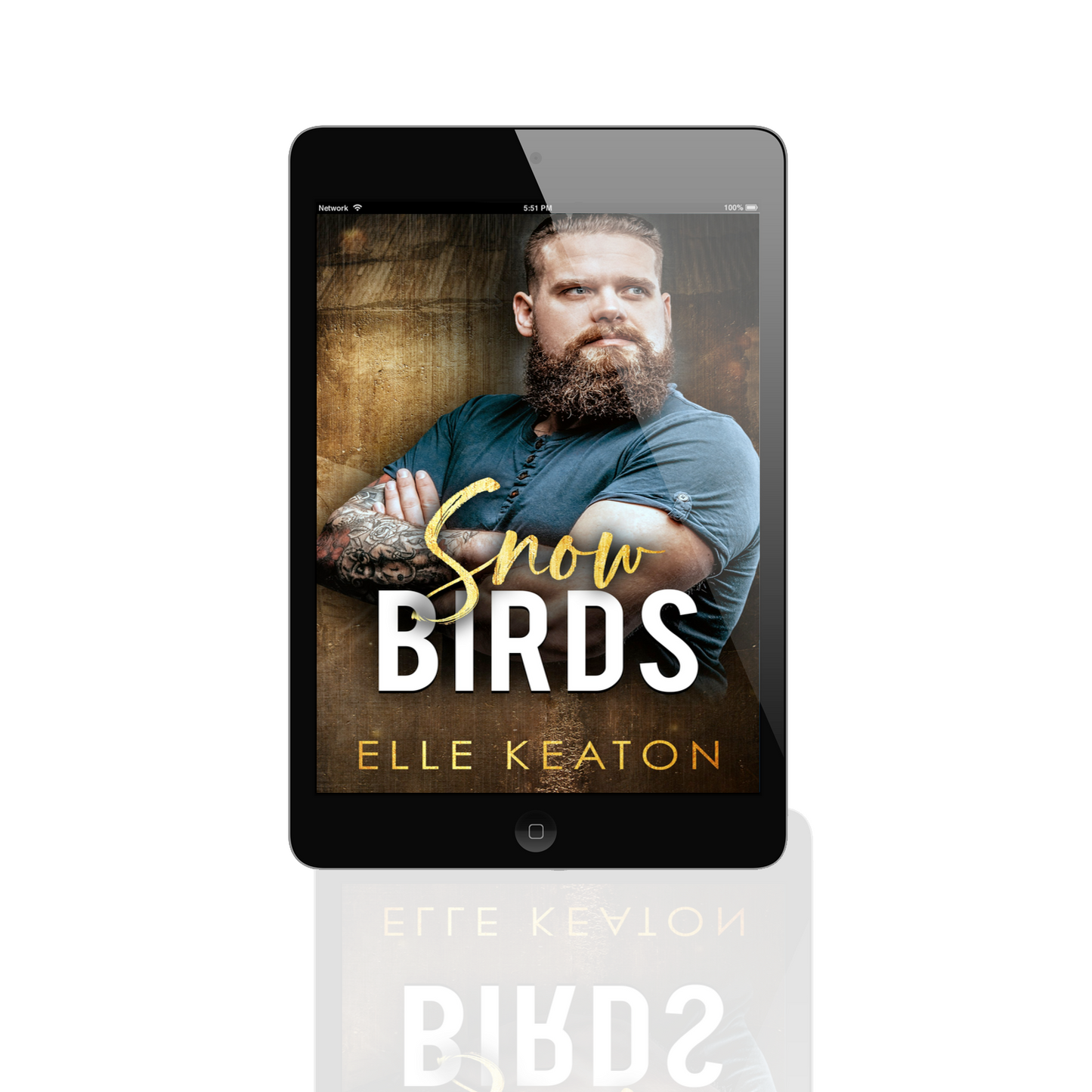 Snowbirds - A Reclaimed Hearts Novella