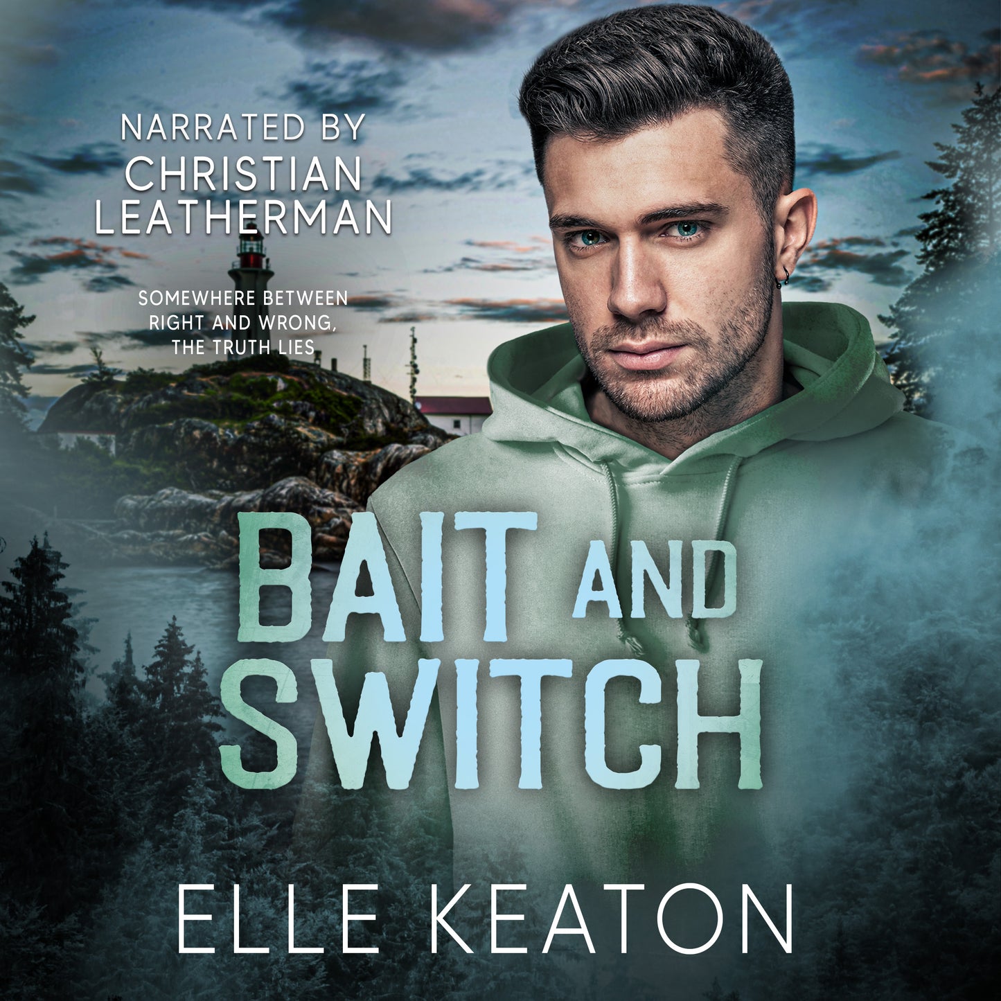 Audiobook: Bait and Switch, Subtle Deceptions book 2 PREORDER