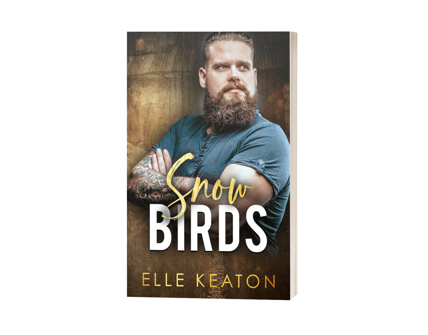 Snowbirds - A Reclaimed Hearts Novella, Chris and Morrison
