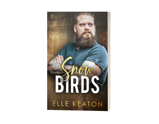 Snowbirds - A Reclaimed Hearts Novella, Chris and Morrison