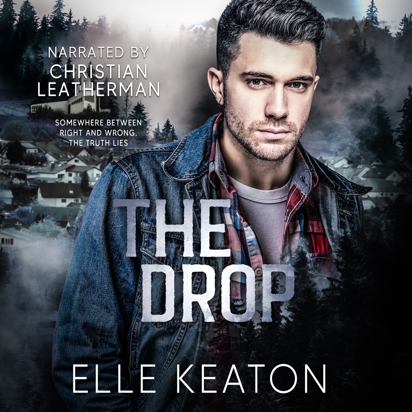 The Drop, Subtle Deceptions 4, Audiobook