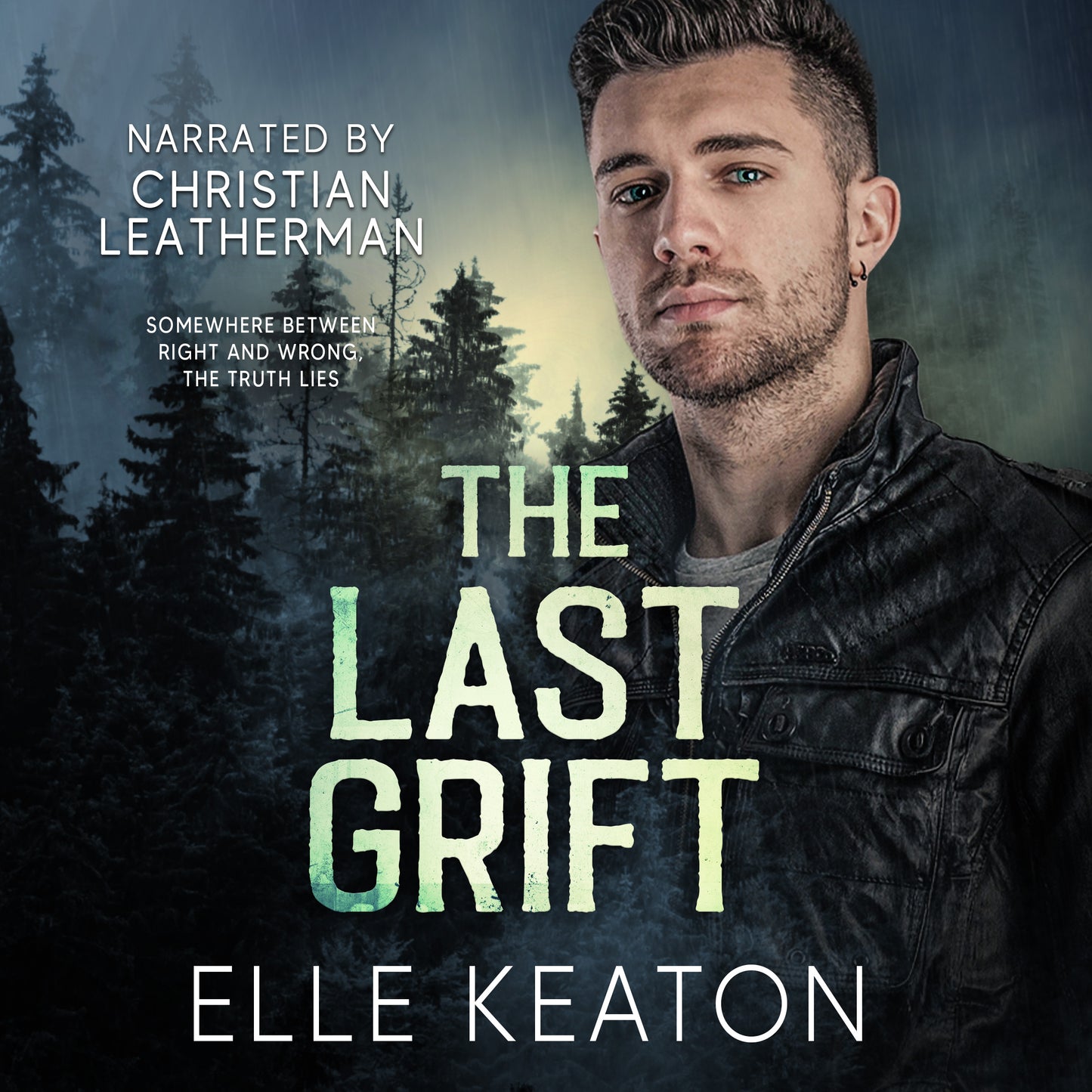 Audiobook: The Last Grift, Subtle Deceptions book 1